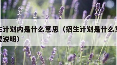 招生计划内是什么意思（招生计划是什么意思简要说明）