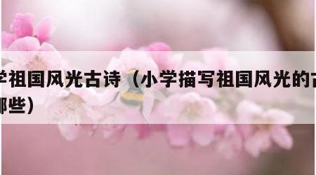 小学祖国风光古诗（小学描写祖国风光的古诗有哪些）