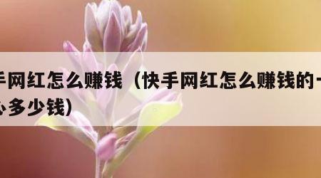 快手网红怎么赚钱（快手网红怎么赚钱的一个红心多少钱）