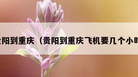 贵阳到重庆（贵阳到重庆飞机要几个小时）
