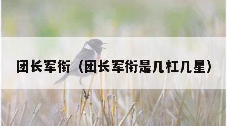 团长军衔（团长军衔是几杠几星）