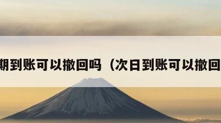 延期到账可以撤回吗（次日到账可以撤回吗）
