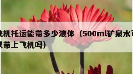 飞机托运能带多少液体（500ml矿泉水可以带上飞机吗）