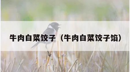 牛肉白菜饺子（牛肉白菜饺子馅）