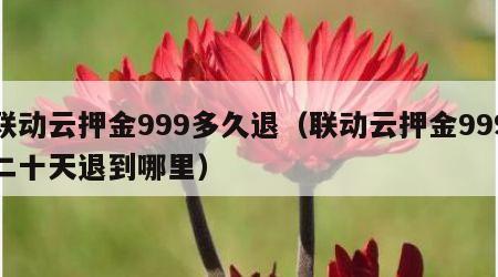 联动云押金999多久退（联动云押金999二十天退到哪里）