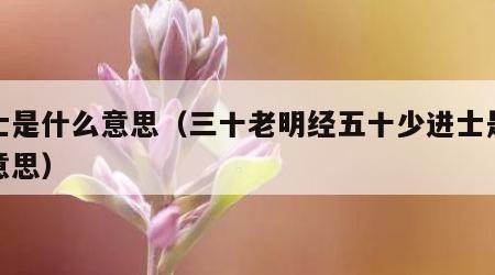 进士是什么意思（三十老明经五十少进士是什么意思）