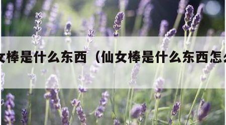 仙女棒是什么东西（仙女棒是什么东西怎么用）