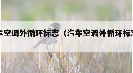 汽车空调外循环标志（汽车空调外循环标志图）