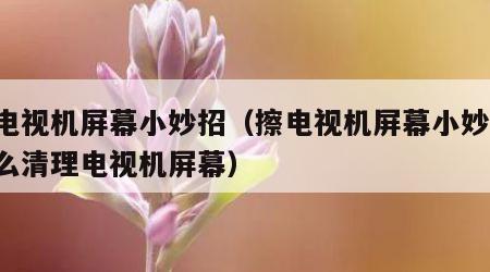 擦电视机屏幕小妙招（擦电视机屏幕小妙招 怎么清理电视机屏幕）