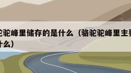 骆驼驼峰里储存的是什么（骆驼驼峰里主要储存什么）