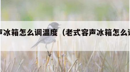 容声冰箱怎么调温度（老式容声冰箱怎么调温度）