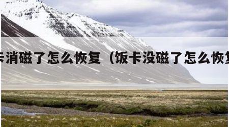 饭卡消磁了怎么恢复（饭卡没磁了怎么恢复磁性）