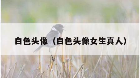 白色头像（白色头像女生真人）