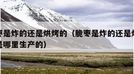脆枣是炸的还是烘烤的（脆枣是炸的还是烘烤的是哪里生产的）
