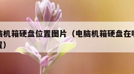 电脑机箱硬盘位置图片（电脑机箱硬盘在哪个位置）