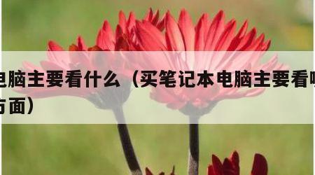 买电脑主要看什么（买笔记本电脑主要看哪几个方面）