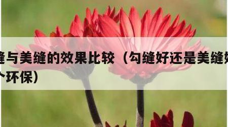 勾缝与美缝的效果比较（勾缝好还是美缝好哪一个环保）
