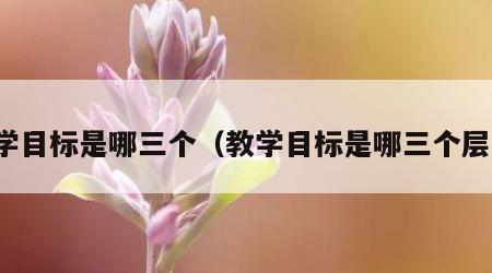 教学目标是哪三个（教学目标是哪三个层面）