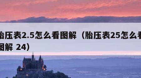 胎压表2.5怎么看图解（胎压表25怎么看图解 24）