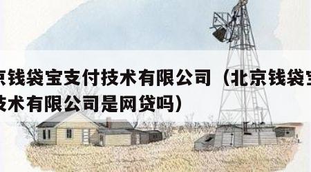 北京钱袋宝支付技术有限公司（北京钱袋宝支付技术有限公司是网贷吗）