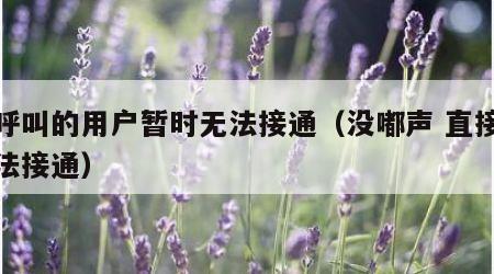 您呼叫的用户暂时无法接通（没嘟声 直接说无法接通）