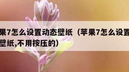 苹果7怎么设置动态壁纸（苹果7怎么设置动态壁纸,不用按压的）