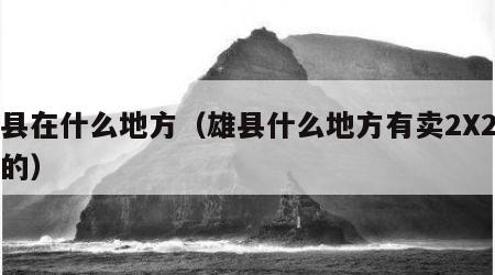 雄县在什么地方（雄县什么地方有卖2X2方营的）