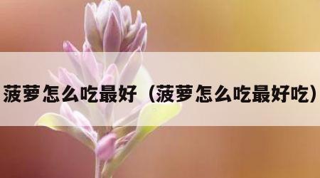 菠萝怎么吃最好（菠萝怎么吃最好吃）