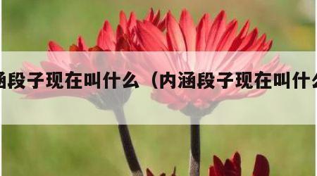 内涵段子现在叫什么（内涵段子现在叫什么来着）