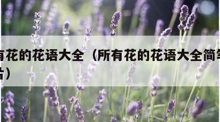 所有花的花语大全（所有花的花语大全简笔画图片）