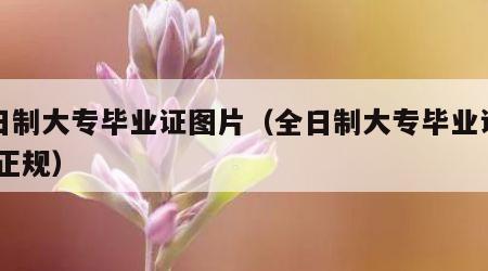 全日制大专毕业证图片（全日制大专毕业证图片 正规）