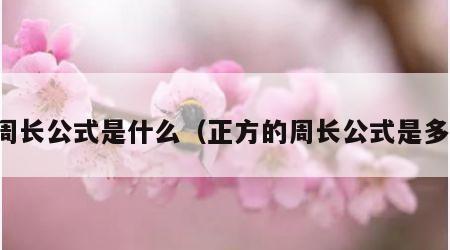 圆周长公式是什么（正方的周长公式是多少）