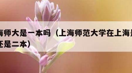 上海师大是一本吗（上海师范大学在上海是一本还是二本）