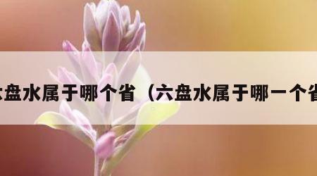 六盘水属于哪个省（六盘水属于哪一个省）