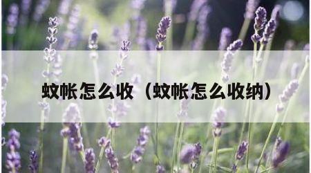 蚊帐怎么收（蚊帐怎么收纳）