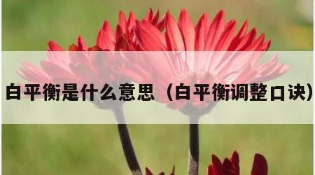 白平衡是什么意思（白平衡调整口诀）