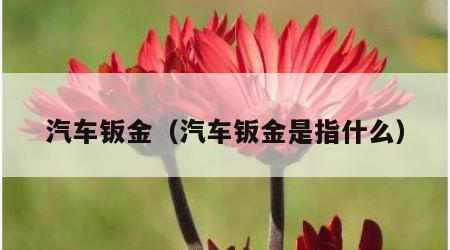 汽车钣金（汽车钣金是指什么）