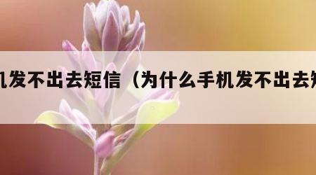 手机发不出去短信（为什么手机发不出去短信）