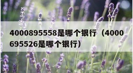 4000895558是哪个银行（4000695526是哪个银行）