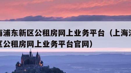 上海浦东新区公租房网上业务平台（上海浦东新区公租房网上业务平台官网）