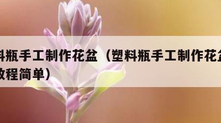 塑料瓶手工制作花盆（塑料瓶手工制作花盆视频教程简单）