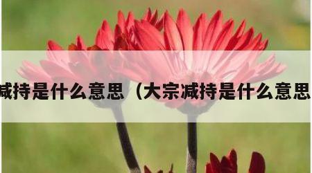 减持是什么意思（大宗减持是什么意思）