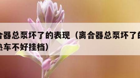 离合器总泵坏了的表现（离合器总泵坏了的表现热车不好挂档）