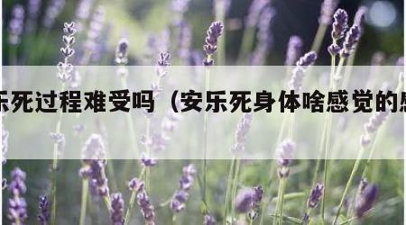 安乐死过程难受吗（安乐死身体啥感觉的感受）