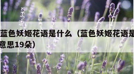 19蓝色妖姬花语是什么（蓝色妖姬花语是什么意思19朵）