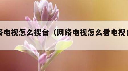 网络电视怎么搜台（网络电视怎么看电视台节目）