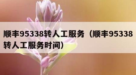 顺丰95338转人工服务（顺丰95338转人工服务时间）