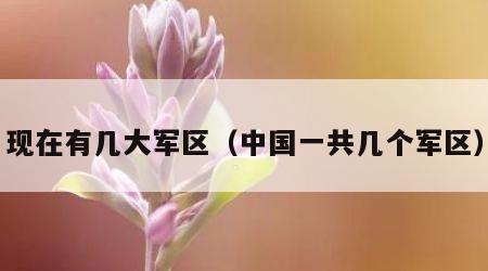 现在有几大军区（中国一共几个军区）