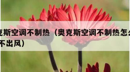 奥克斯空调不制热（奥克斯空调不制热怎么回事 不出风）