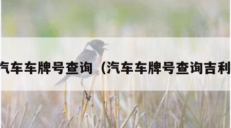 汽车车牌号查询（汽车车牌号查询吉利）